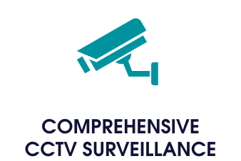 Comprehensive CCTV Surveillance