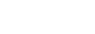 Elsewedy Electric